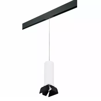 Светильник на шине Lightstar PRORP6496487