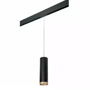Светильник на шине Lightstar PRORP649790