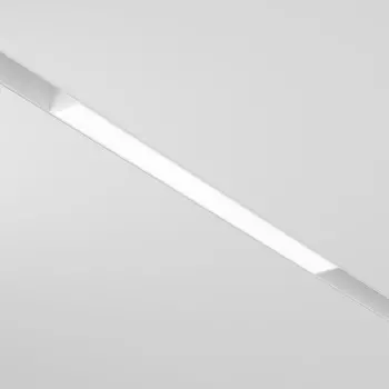 Светильник на шине Maytoni Technical TR030-2-12W4K-W