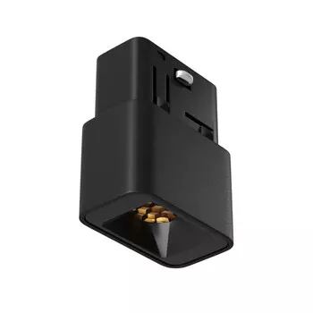 Светильник на шине Maytoni Technical TR100-2-2W3K-S-B