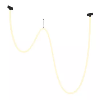 Светильник на шине Maytoni Technical TR101-2-100W3K-B