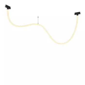 Светильник на шине Maytoni Technical TR101-2-50W3K-B