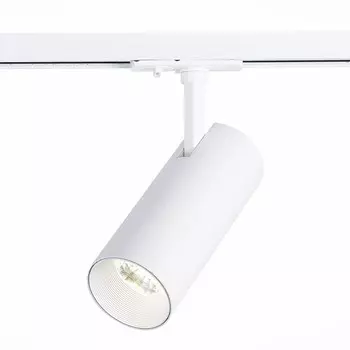 Светильник на шине ST-Luce ST350.536.20.36