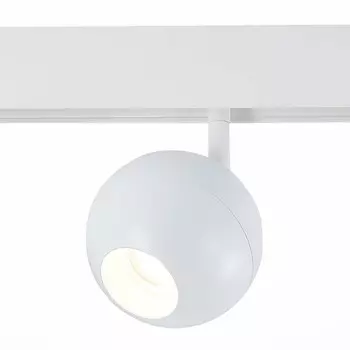Светильник на шине ST-Luce ST354.546.12