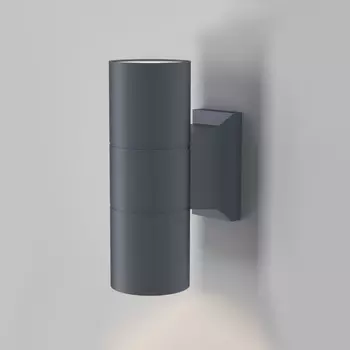 Светильник настенный Maytoni O574WL-02GR