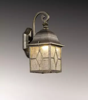 Светильник настенный Odeon Light 2309/1W