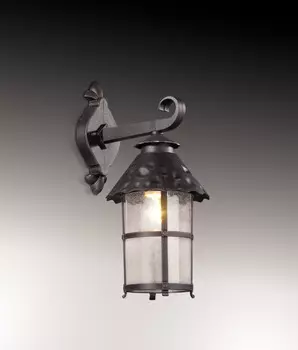 Светильник настенный Odeon Light 2313/1W