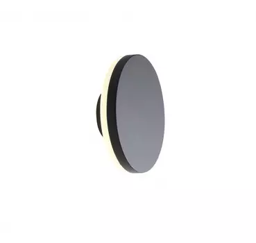 Светильник настенный ST-Luce SL087.401.01