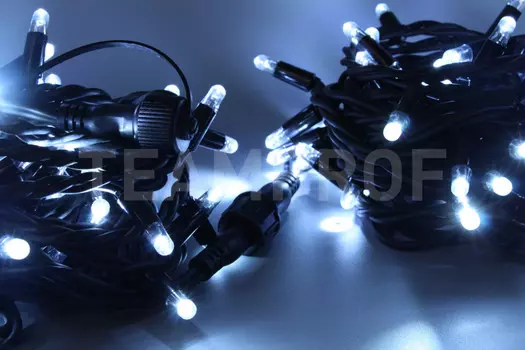 Светодиодная нить TEAMPROF TPF-S10C-220V-RB/W