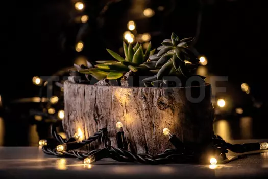 Светодиодная нить TEAMPROF TPF-S10C-220V-RB/WW