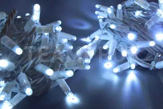 Светодиодная нить TEAMPROF TPF-S10C-220V-RW/W