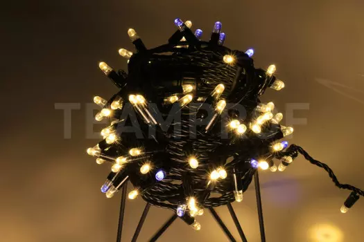 Светодиодная нить TEAMPROF TPF-S10CF-24V-CB/WW