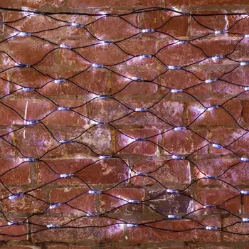 Светодиодная сеть Neon-Night 215-011