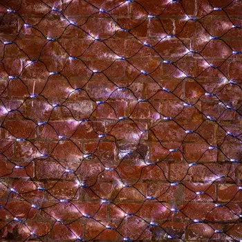 Светодиодная сеть Neon-Night 215-021