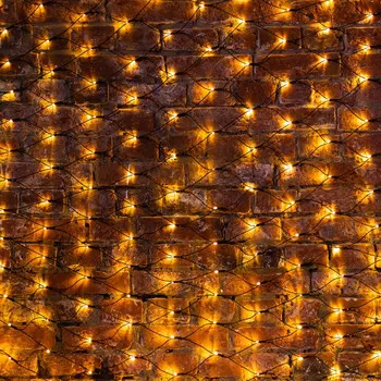 Светодиодная сеть Neon-Night 215-026