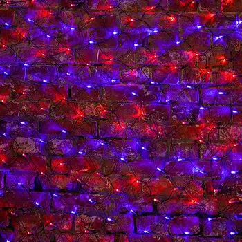 Светодиодная сеть Neon-Night 215-033