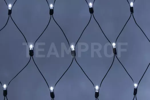 Светодиодная сеть TEAMPROF TPF-N2*3-B/W