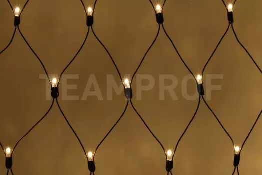 Светодиодная сеть TEAMPROF TPF-N2*3-B/WW