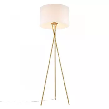 Торшер APLOYT APL.637.05.01