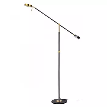 Торшер Odeon Light 4321/20FL