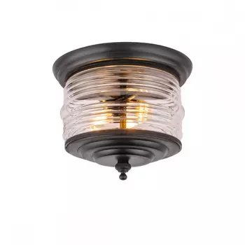 Накладной уличный светильник Covali PL-30590