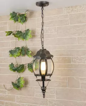 Подвесной уличный светильник Elektrostandard GL 1001H черное золото