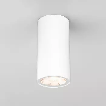 Накладной уличный светильник Elektrostandard Light LED 2102 (35129/H) белый