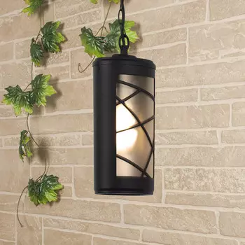 Подвесной уличный светильник Elektrostandard Premier H черный (GL 1017H)