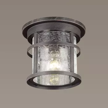 Накладной уличный светильник Odeon Light 4044/1C