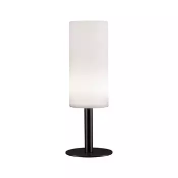 Уличный светильник Paulmann 94221