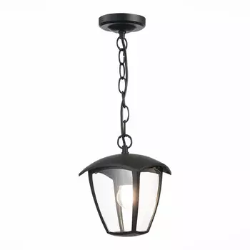 Подвесной уличный светильник ST-Luce SL081.403.01