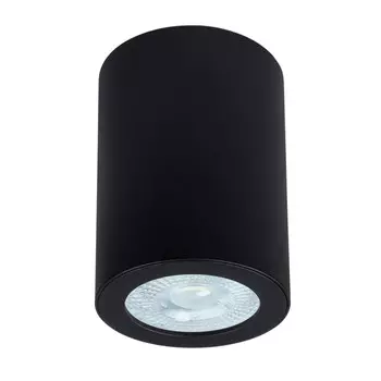 Влагозащищенный светильник ARTE Lamp A1468PL-1BK