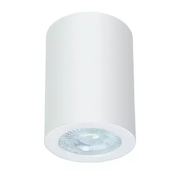 Влагозащищенный светильник ARTE Lamp A1468PL-1WH