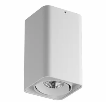 Влагозащищенный светильник Lightstar 052336