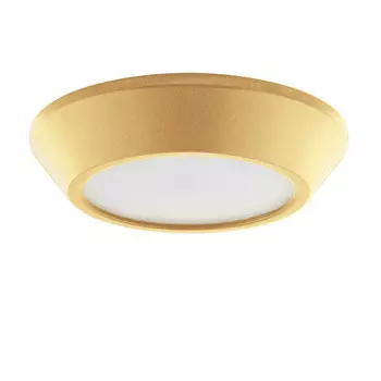 Влагозащищенный светильник Lightstar 214732