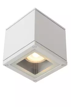 Влагозащищенный светильник LUCIDE 22963/01/31