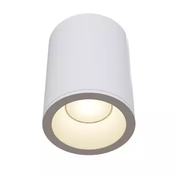 Влагозащищенный светильник Maytoni Technical C029CL-01W