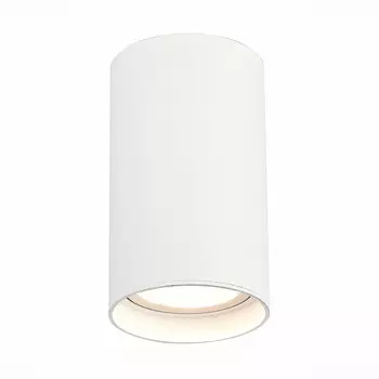 Влагозащищенный светильник ST-Luce ST157.542.20