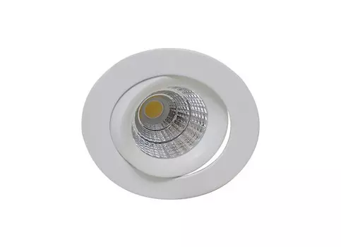 Влагозащищенный светильник Donolux DL18894R12W1