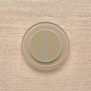 Выключатель Delumo R21236