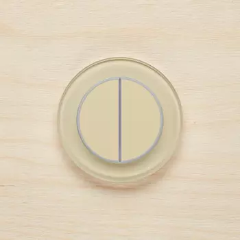 Выключатель Delumo R41015