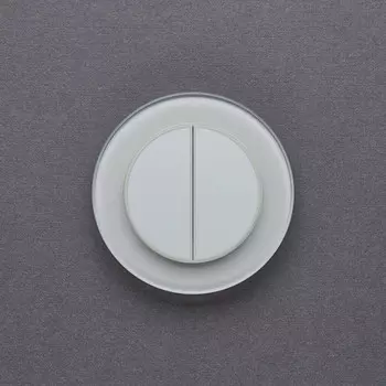 Выключатель Delumo R49006