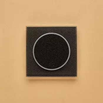 Выключатель Delumo T10337