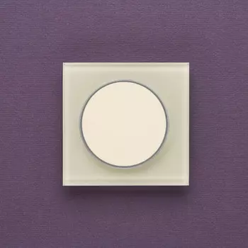 Выключатель Delumo T11013