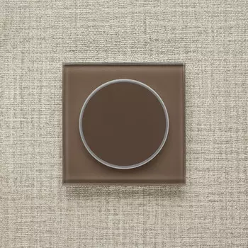 Выключатель Delumo T17013