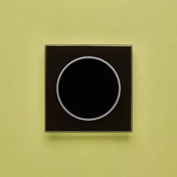 Выключатель Delumo T19005