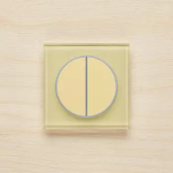 Выключатель Delumo T21014