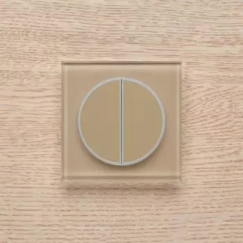 Выключатель Delumo T21236