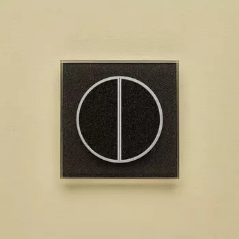 Выключатель Delumo T40337