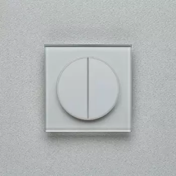 Выключатель Delumo T49006